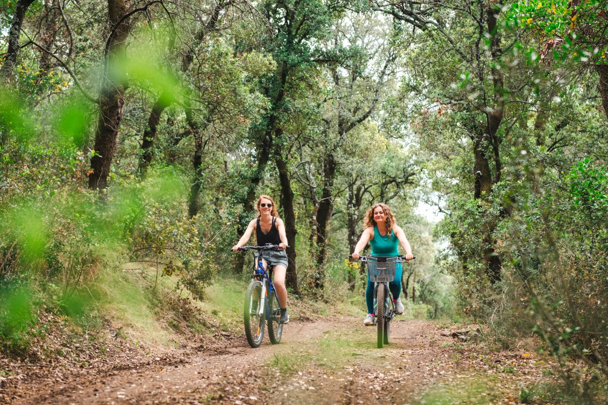Forêt de 70 hectares dans le domaine 
