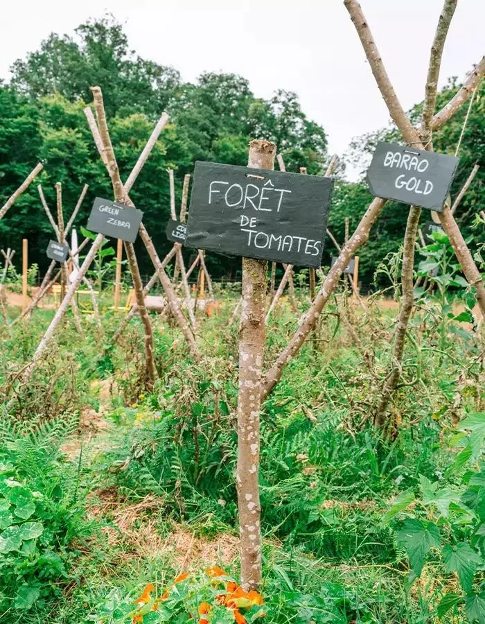 Le potager