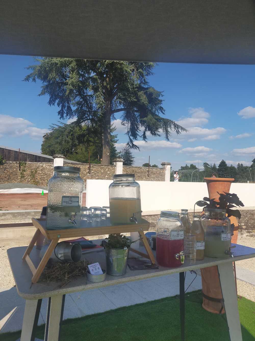 animation bar a eaux infusees
