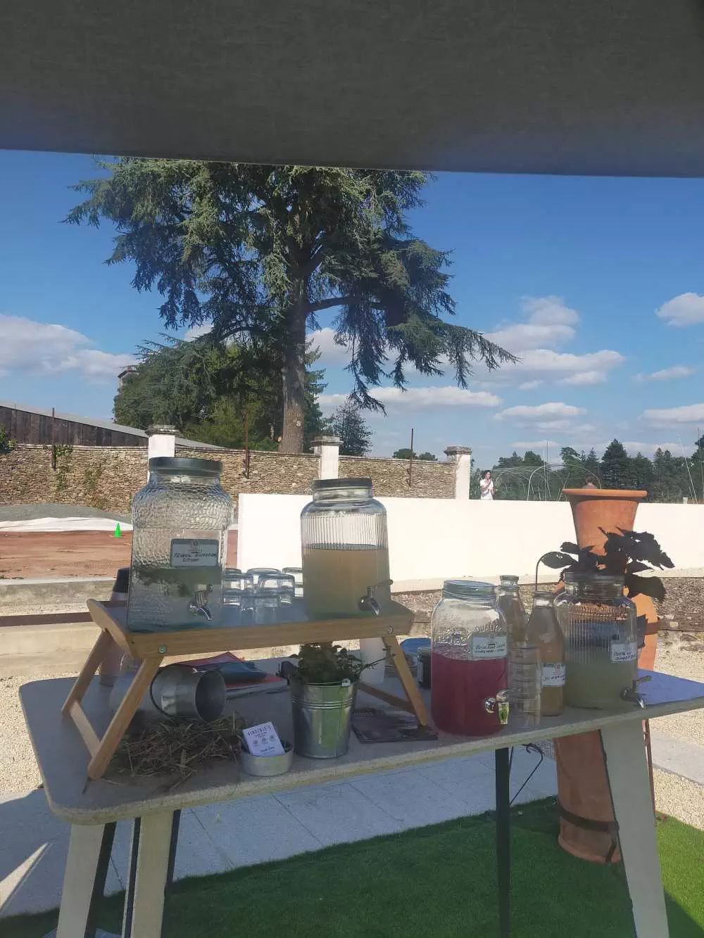 animation bar a eaux infusees