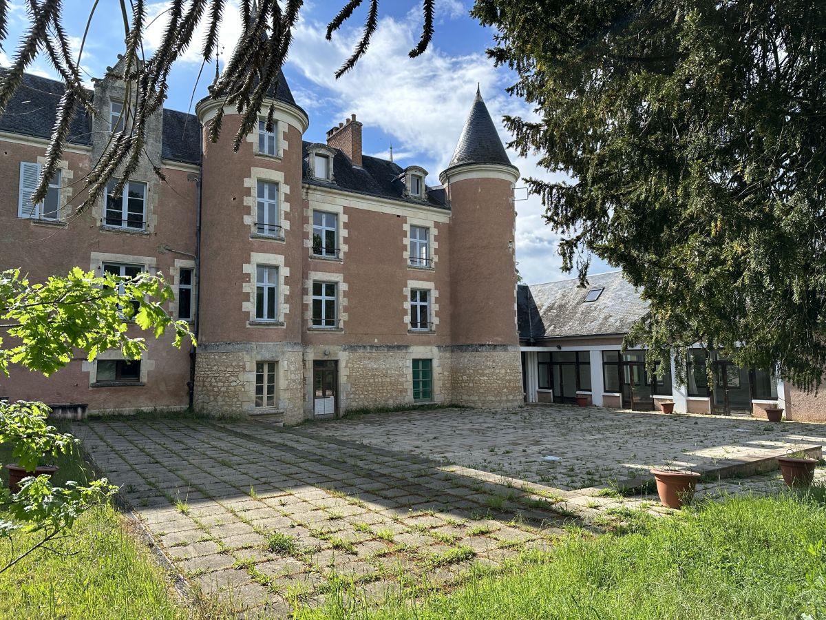 Château rose poitevin
