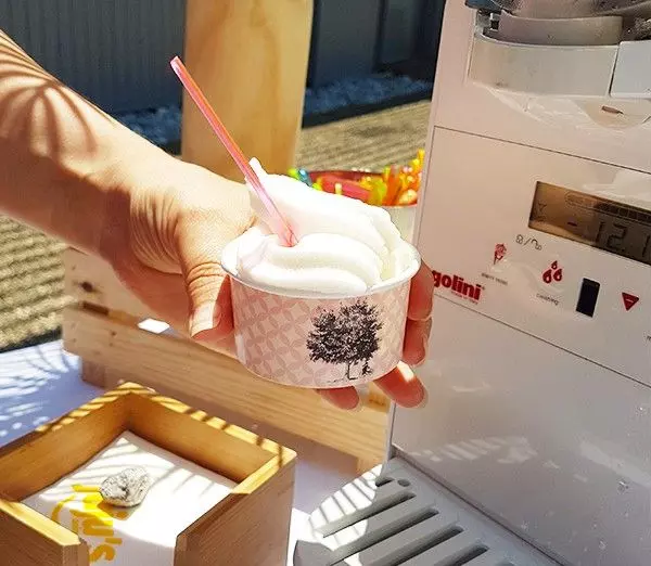 Sorbets