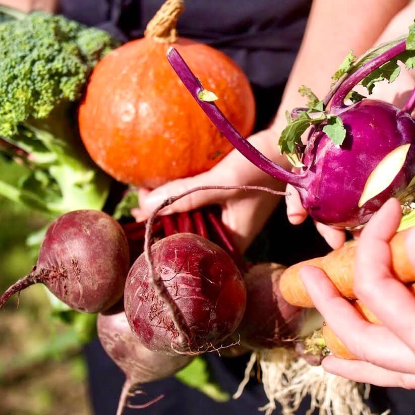 Les légumes de saison qu'on aime tant !