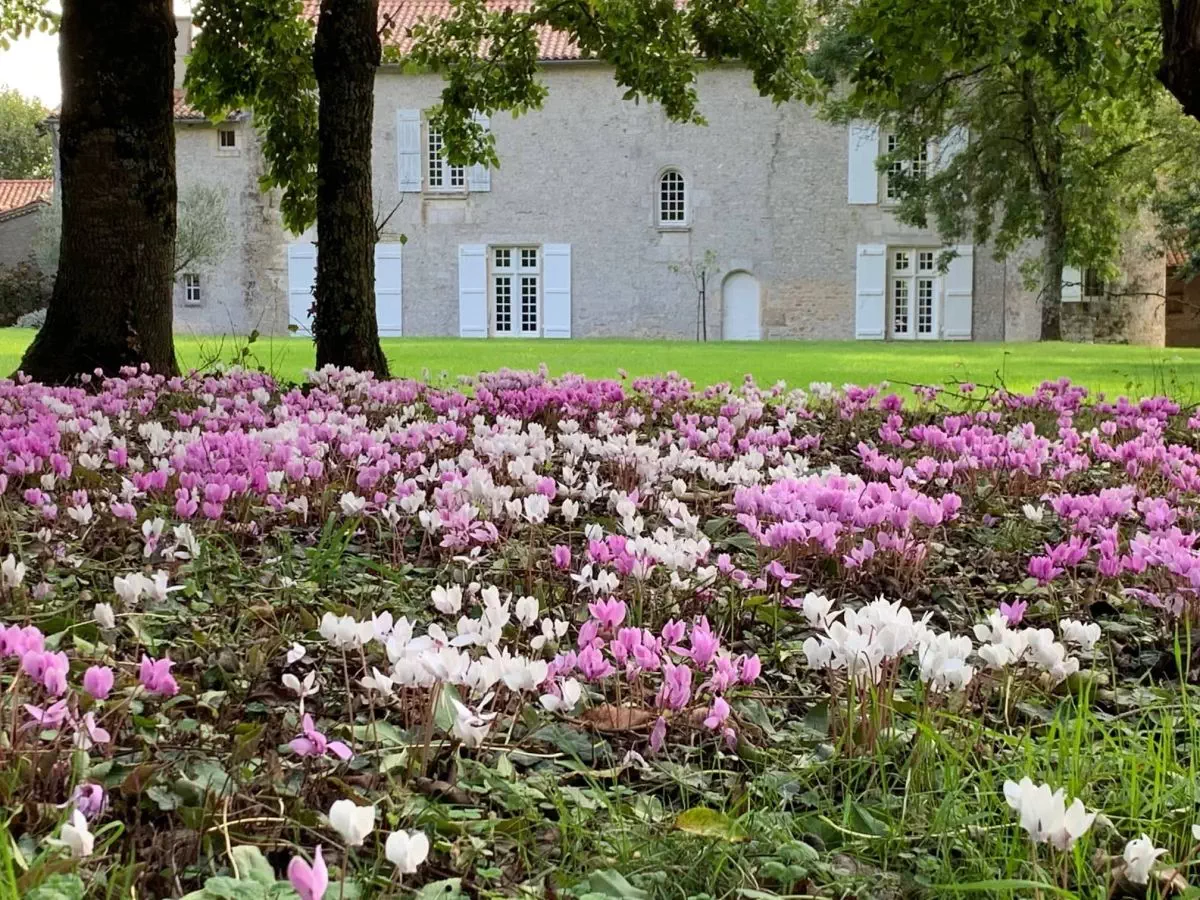 Le jardin