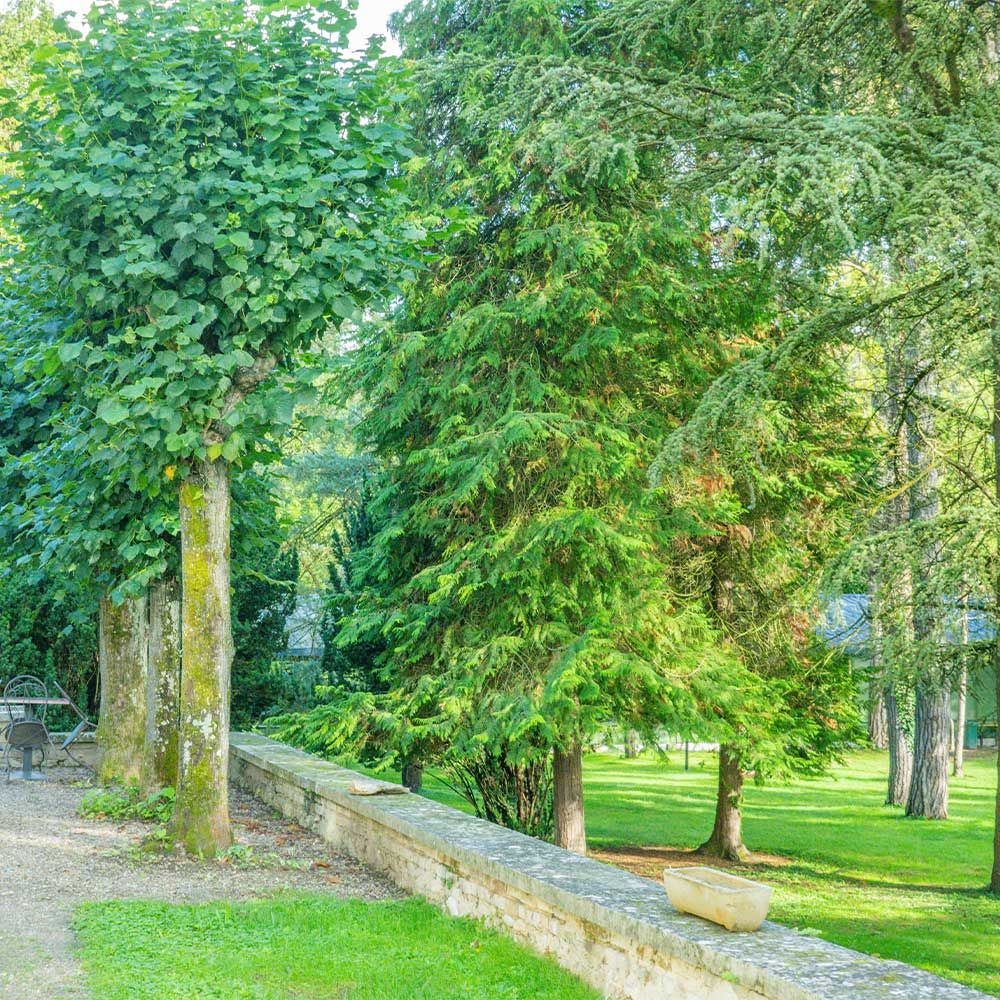 Parc