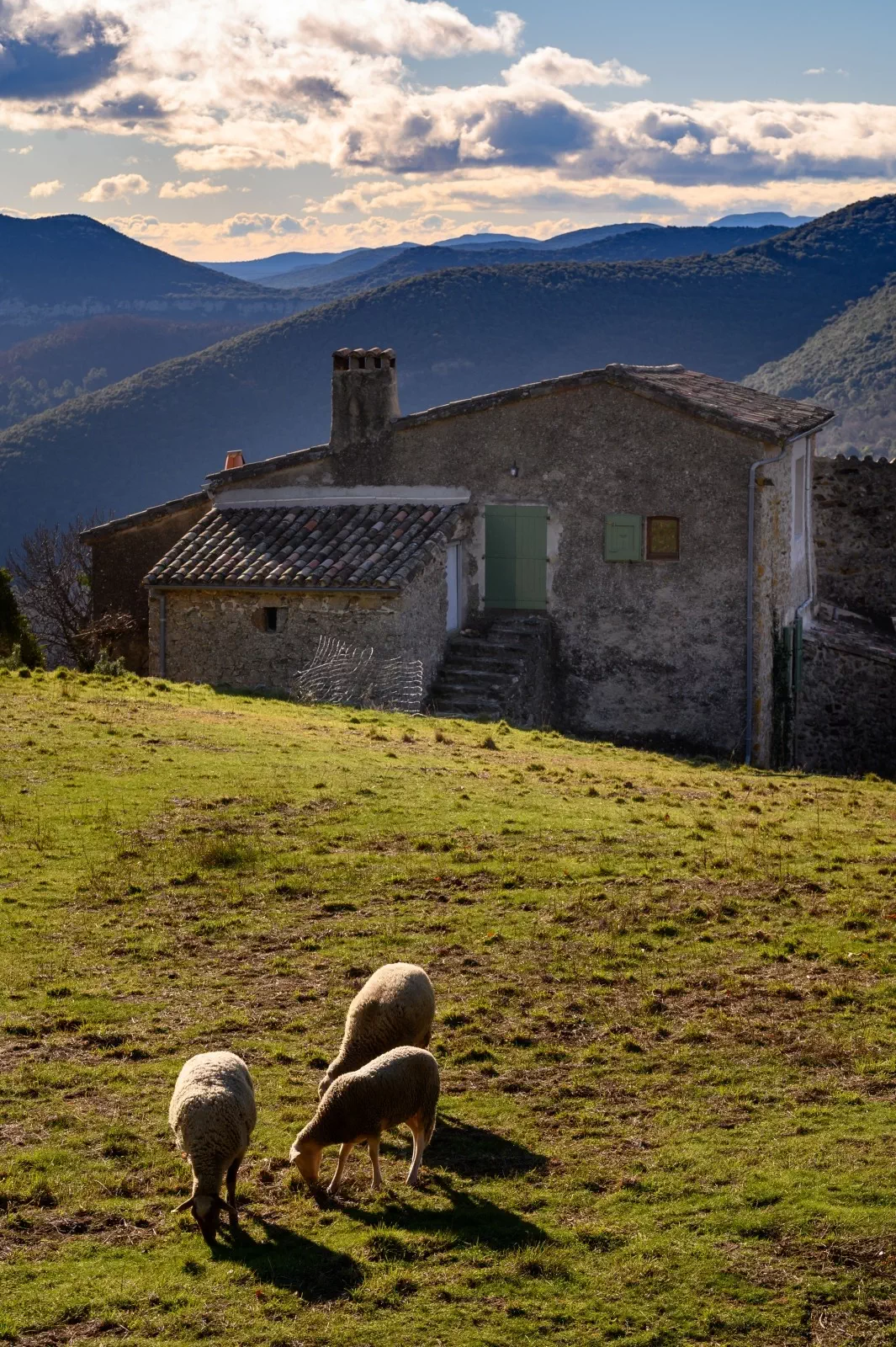 Vue du nord