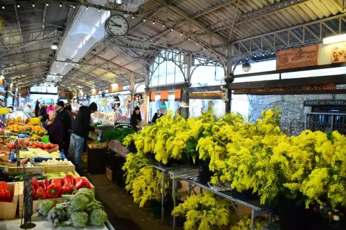 Circuit dégustation provençale vieux Antibes