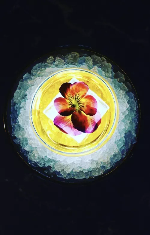 Cocktails animés proche de Lille