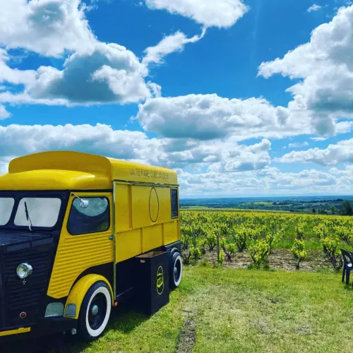 Cuisine Veggie du marché et du Monde