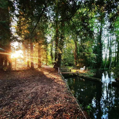 Les teambuildings originaux du Calvados