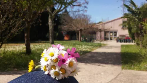 Séjours professionnels au vert dans le Gard