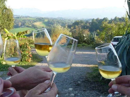 Activités dans les vignes du Jurançon