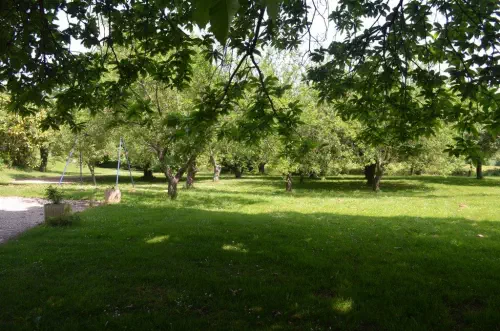 Gîte et parc arboré dans le Cher

