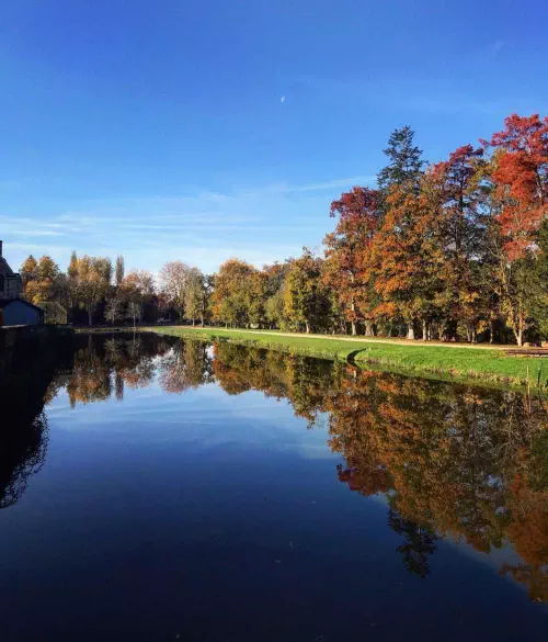 Château à la La Ferté-Saint-Aubin