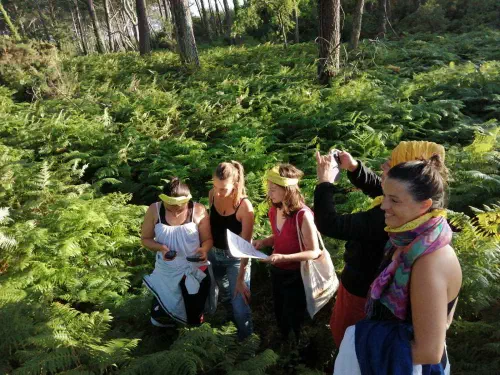 Escape game en outdoor dans les Landes