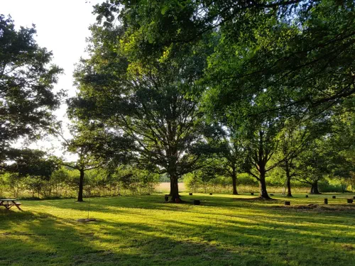 Centre dédié à la réflexion et au bien-être au sud de Versailles