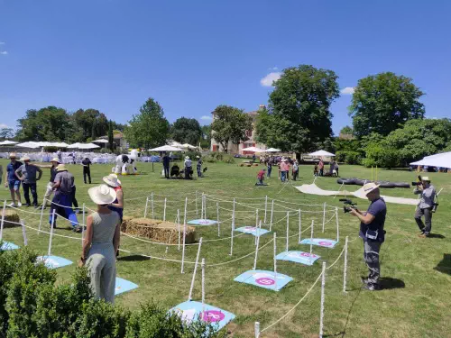 Château de Castelneau