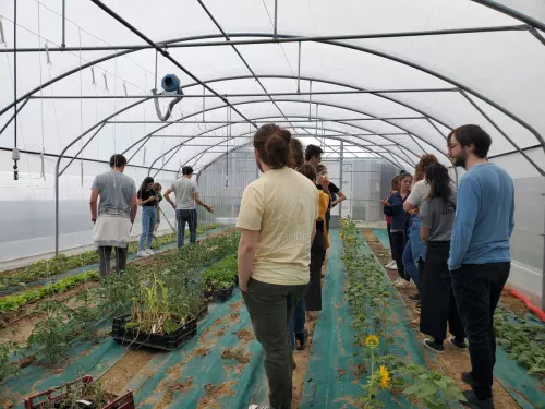 Ferme urbaine et ses activités de teambuilding à Saint-Denis
