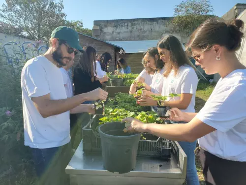 Ferme urbaine et ses activités de teambuilding à Aubervilliers