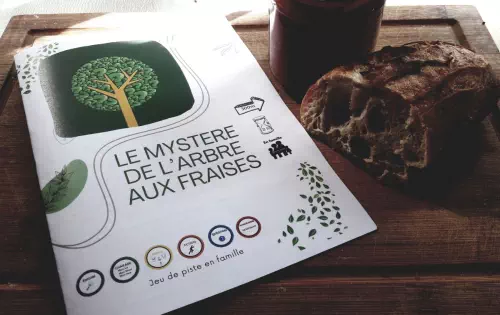 Ateliers et animations autour des plantes sauvages en Occitanie