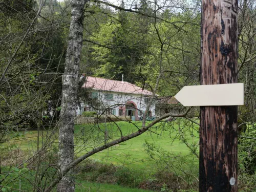 Charmant gîte de groupe et ses espaces réceptifs dans les Vosges