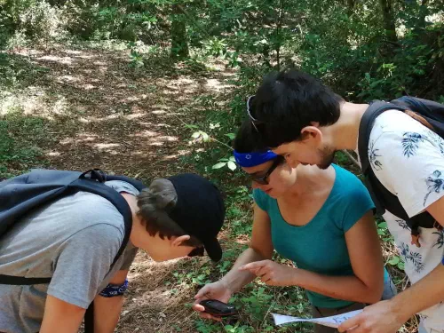 Escape game en outdoor dans les Landes