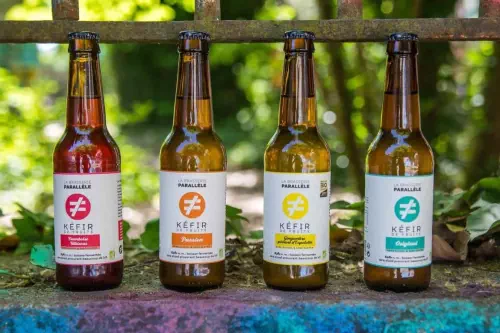 Les brasseurs bordelais de kéfir