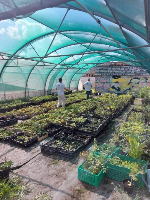 Ferme urbaine et ses activités de teambuilding à Aubervilliers