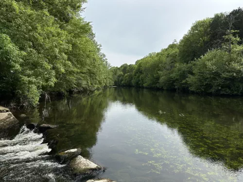 Château rose poitevin
