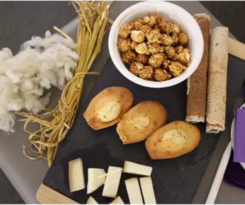 Jeu de sensibilisation 100 % sur mesure