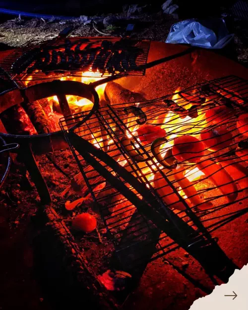 Stage de survie dans les Vosges