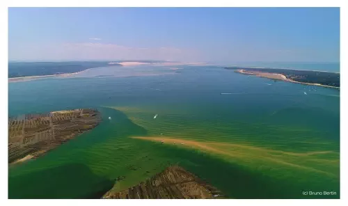 Découverte responsable du Bassin d'Arcachon