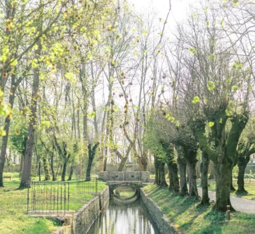 Domaine pour réceptions et séminaires en Bourgogne