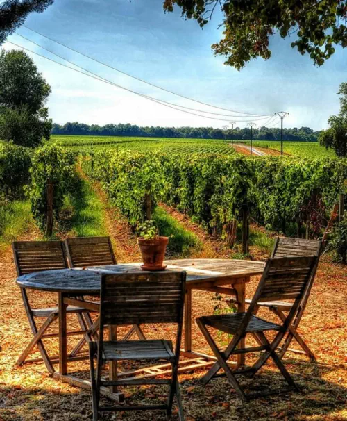 Domaine viticole bordelais bio