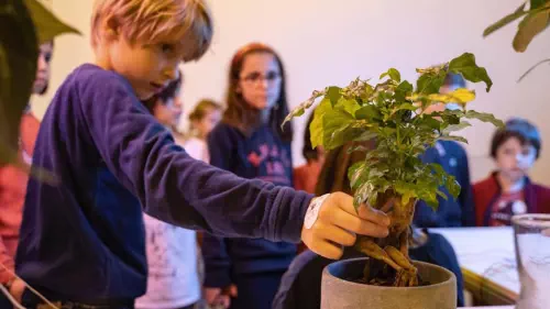 Ateliers d'éveil musical électronique