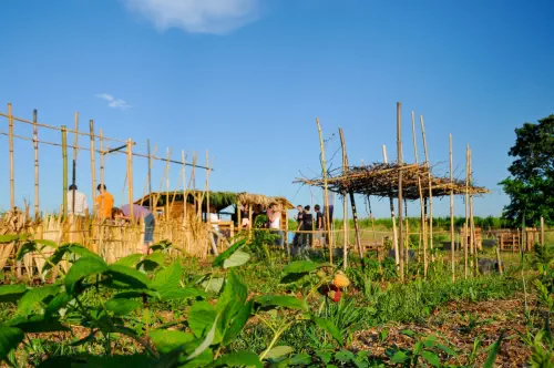 Ferme citadine montpelliéraine
