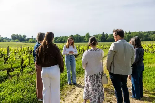 Bordeaux Wine Trails