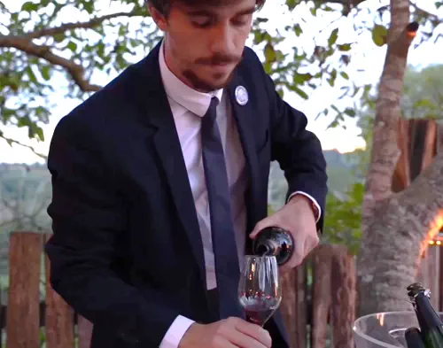 Excursions oenologiques 