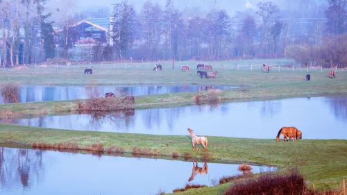 Cottages de campagne en baie de Somme