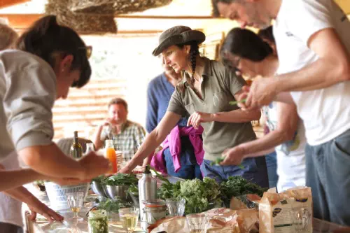 Ateliers et animations autour des plantes sauvages en Occitanie