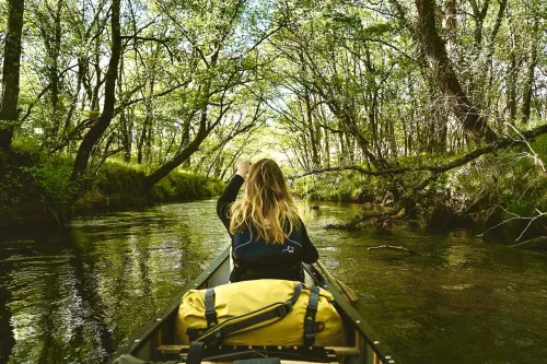 Découverte responsable du Bassin d'Arcachon