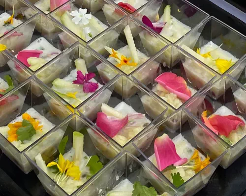 Teambuilding culinaire et dégustation en Gironde