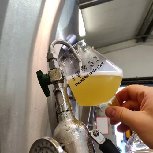 Brasseurs Cueilleurs