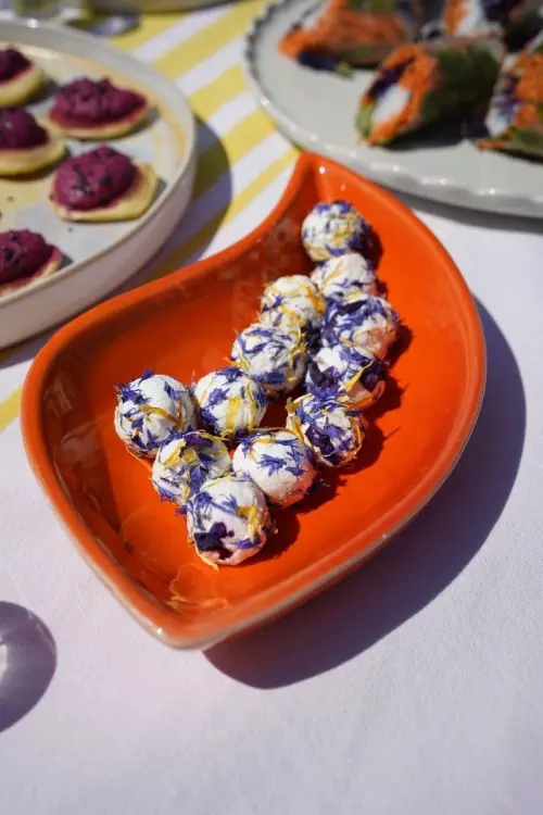 Cours de cuisine végétale à Bordeaux