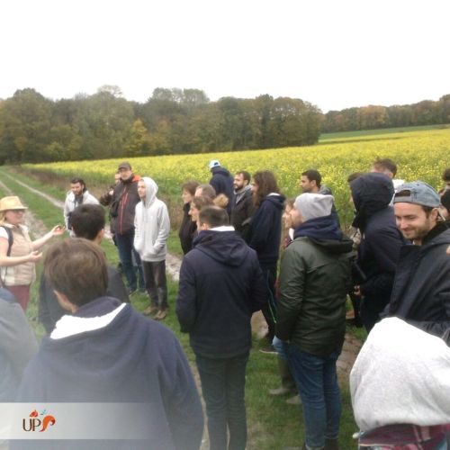 Initiation au pistage des animaux sauvages