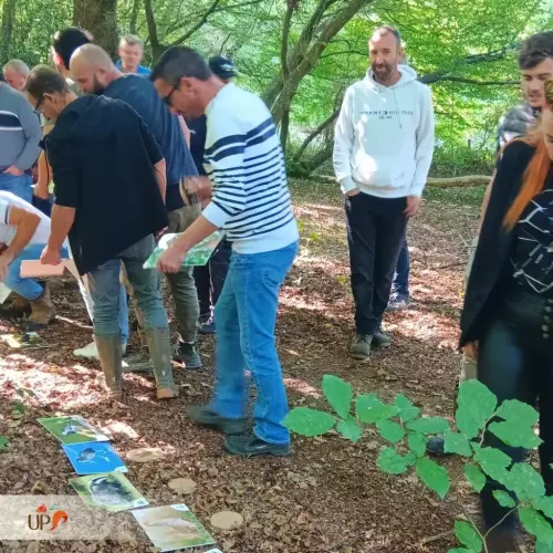 Animations nature et biodiversité pour entreprises