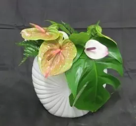 Fleuriste créatif et solidaire