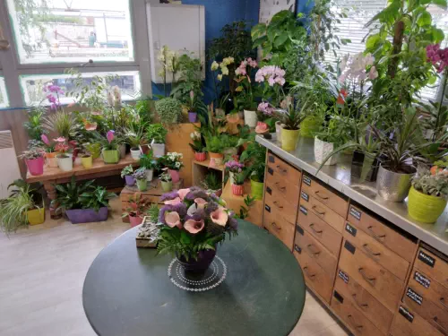 Fleuriste créatif et solidaire