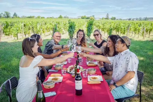 Bordeaux Wine Trails