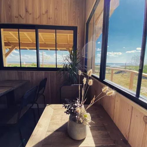 Cabane à huîtres de Lanton